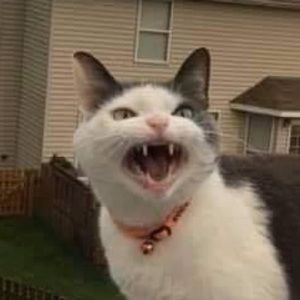 Meet your Posher, Mariah